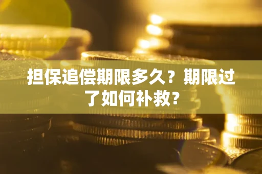 济南担保追偿期限多久？期限过了如何补救？