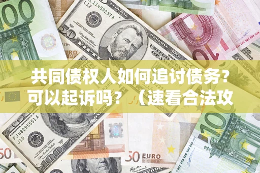 济南共同债权人如何追讨债务？可以起诉吗？（速看合法攻略）