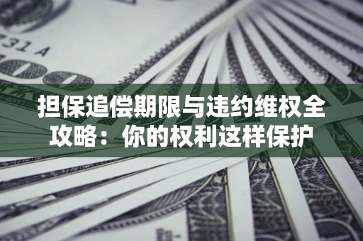 济南担保追偿期限与违约维权全攻略：你的权利这样保护