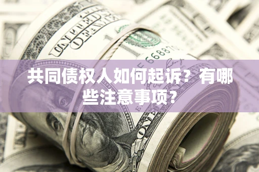 济南共同债权人如何起诉？有哪些注意事项？